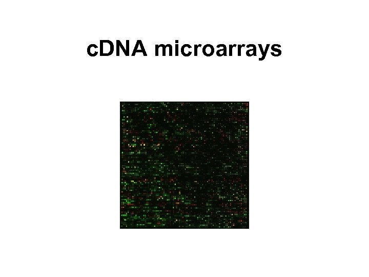 c. DNA microarrays 