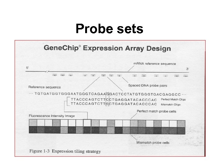 Probe sets 