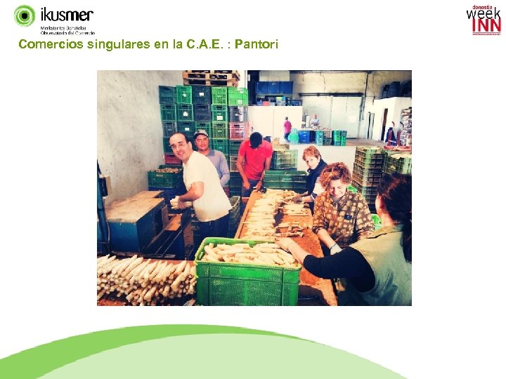 Comercios singulares en la C. A. E. : Pantori 51 IKUSMER TREND FILES 