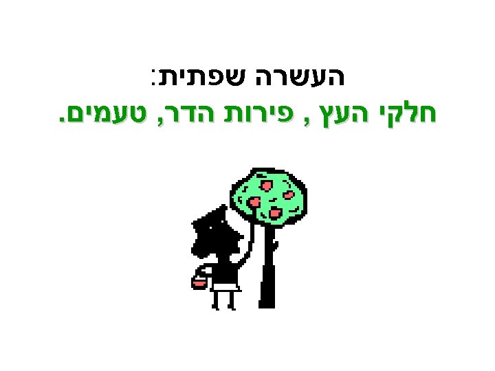  העשרה שפתית: חלקי העץ , פירות הדר, טעמים. 