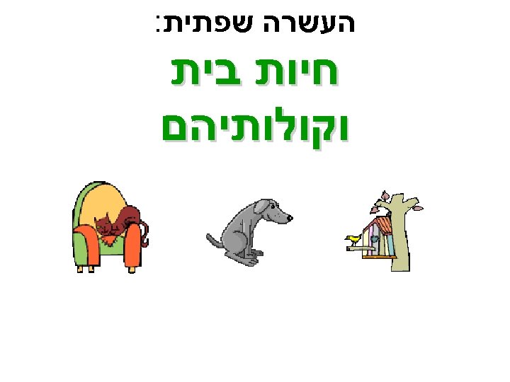  העשרה שפתית: חיות בית וקולותיהם 