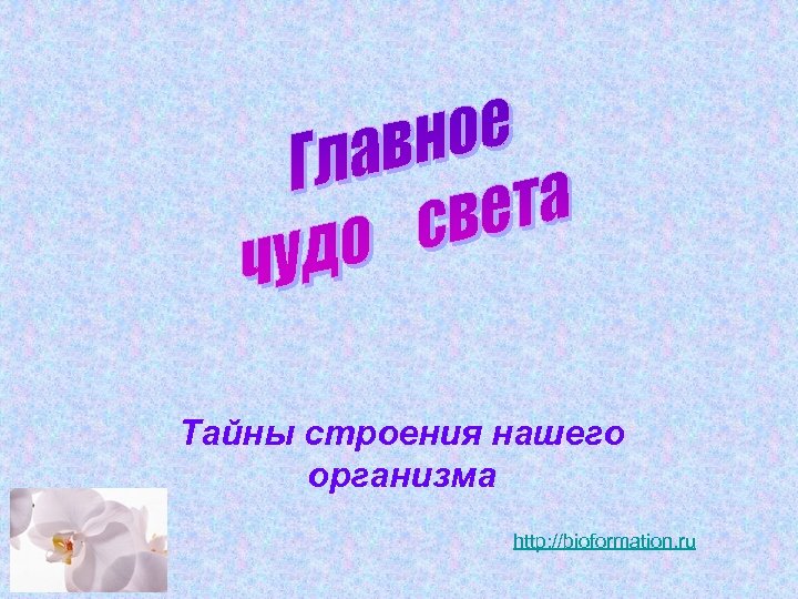 Тайны строения нашего организма http: //bioformation. ru 