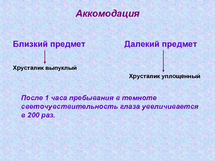 Аккомодация Близкий предмет Далекий предмет Хрусталик выпуклый Хрусталик уплощенный После 1 часа пребывания в