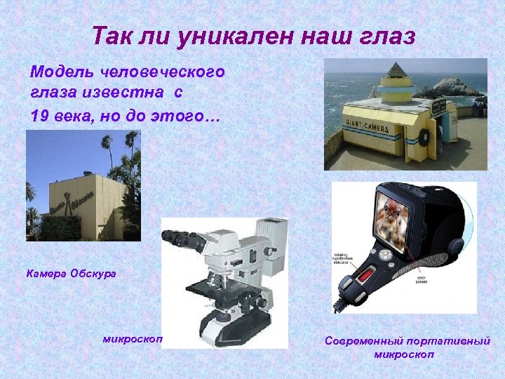 Так ли уникален наш глаз Модель человеческого глаза известна с 19 века, но до