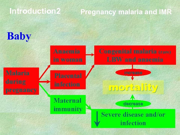 Introduction 2 Pregnancy malaria and IMR Baby Anaemia in woman Malaria during pregnancy Placental