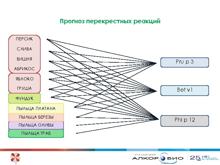 Прогноз перекрестных реакций ПЕРСИК СЛИВА ВИШНЯ Pru p 3 АБРИКОС ЯБЛОКО ГРУША Bet v