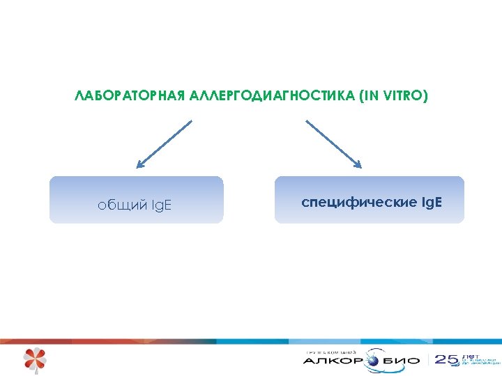 ЛАБОРАТОРНАЯ АЛЛЕРГОДИАГНОСТИКА (IN VITRO) общий Ig. E специфические Ig. E 