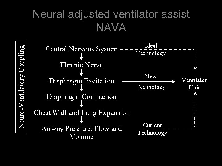 Neuro-Ventilatory Coupling Neural adjusted ventilator assist NAVA Ideal Central Nervous System Technology Phrenic Nerve
