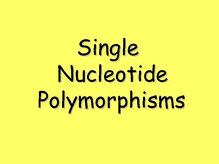 Single Nucleotide Polymorphisms 