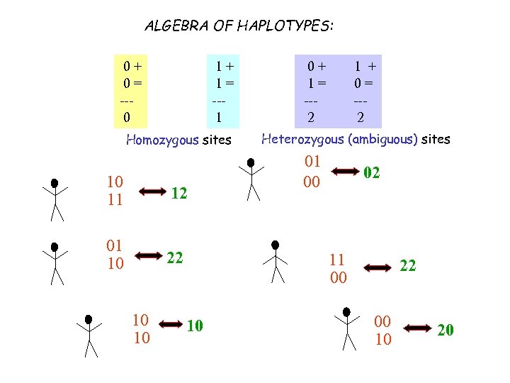 ALGEBRA OF HAPLOTYPES: 0+ 0= --0 1+ 1= --1 Homozygous sites 10 11 12