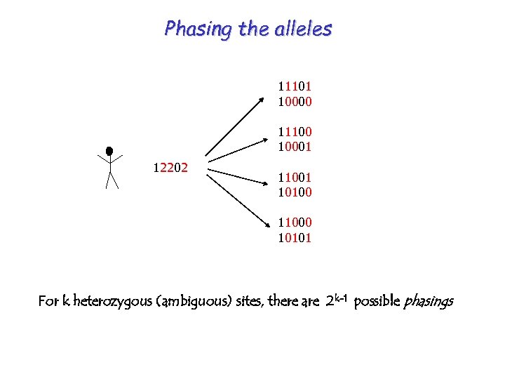 Phasing the alleles 11101 10000 11100 10001 12202 11001 10100 11000 10101 For k