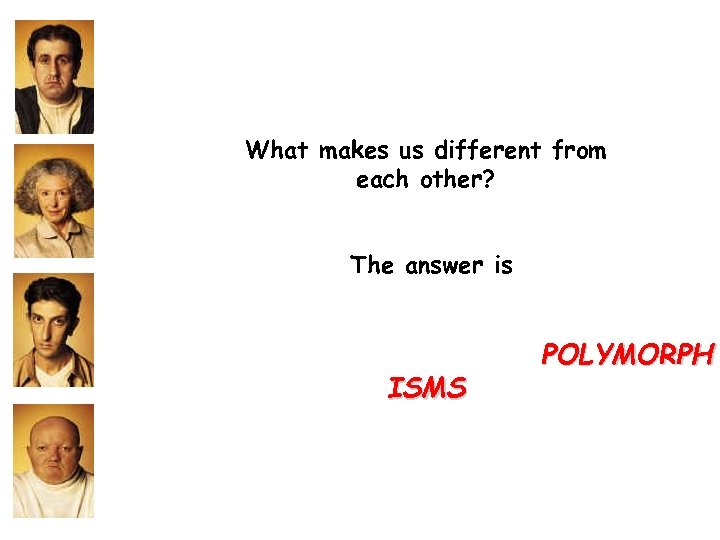 What makes us different from each other? The answer is ISMS POLYMORPH 