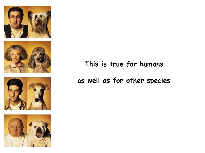 This is true for humans as well as for other species 