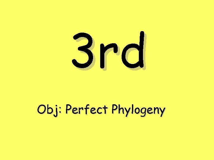 3 rd Obj: Perfect Phylogeny 
