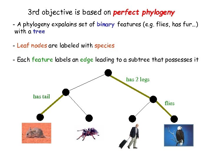 3 rd objective is based on perfect phylogeny - A phylogeny expalains set of