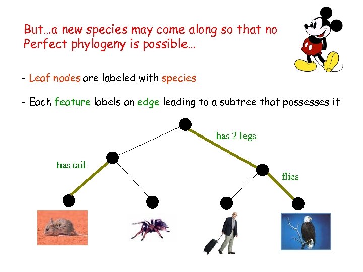 But…a new species may come along so that no - A phylogeny expalainsis possible…