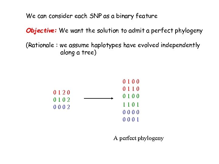 We can consider each SNP as a binary feature Objective: We want the solution
