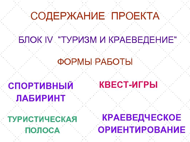 СОДЕРЖАНИЕ ПРОЕКТА БЛОК IV "ТУРИЗМ И КРАЕВЕДЕНИЕ" ФОРМЫ РАБОТЫ СПОРТИВНЫЙ ЛАБИРИНТ КВЕСТ-ИГРЫ ТУРИСТИЧЕСКАЯ ПОЛОСА