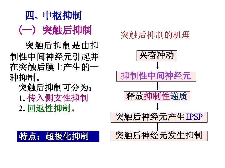 四、中枢抑制 (一) 突触后抑制是由抑 制性中间神经元引起并 在突触后膜上产生的一 种抑制。 突触后抑制可分为： 1. 传入侧支性抑制 2. 回返性抑制。 特点：超极化抑制 突触后抑制的机理 兴奋冲动