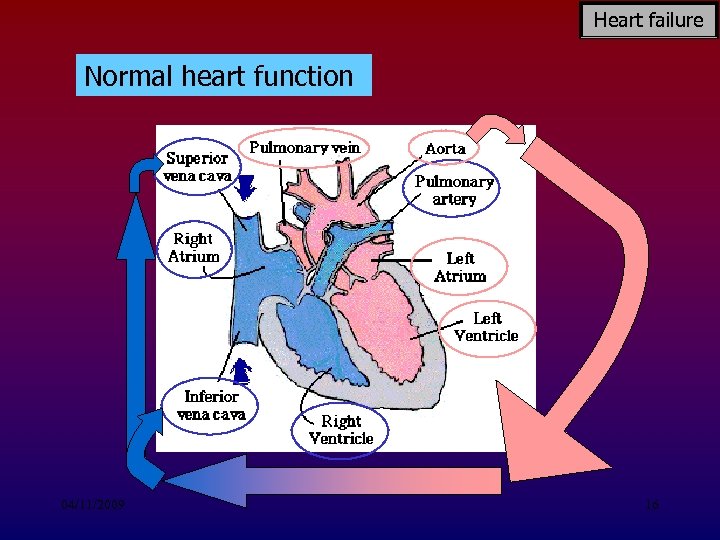 Heart failure Normal heart function 04/11/2009 16 