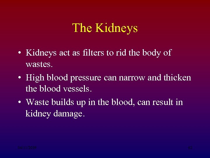 The Kidneys • Kidneys act as filters to rid the body of wastes. •