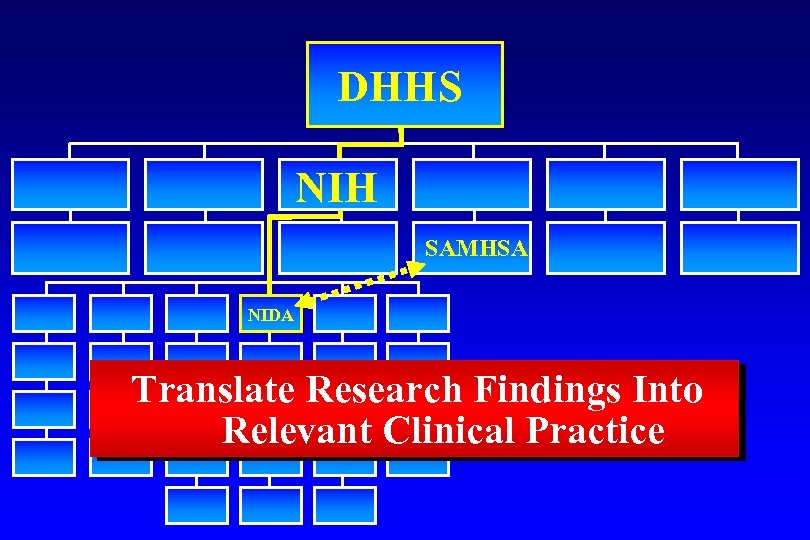 DHHS NIH SAMHSA NIDA Translate Research Findings Into Relevant Clinical Practice 
