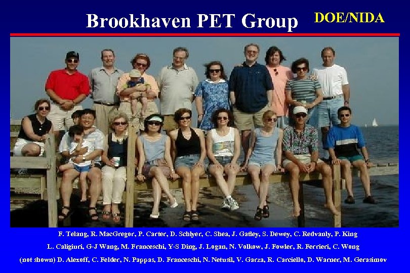 Brookhaven PET Group DOE/NIDA F. Telang, R. Mac. Gregor, P. Carter, D. Schlyer, C.