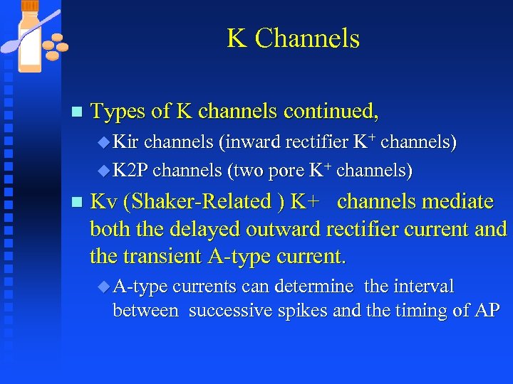 K Channels n Types of K channels continued, u Kir channels (inward rectifier K+