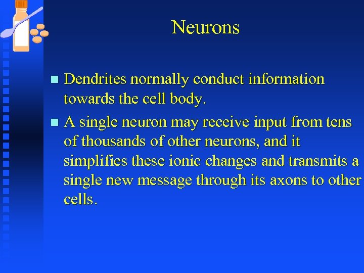 Neurons Dendrites normally conduct information towards the cell body. n A single neuron may