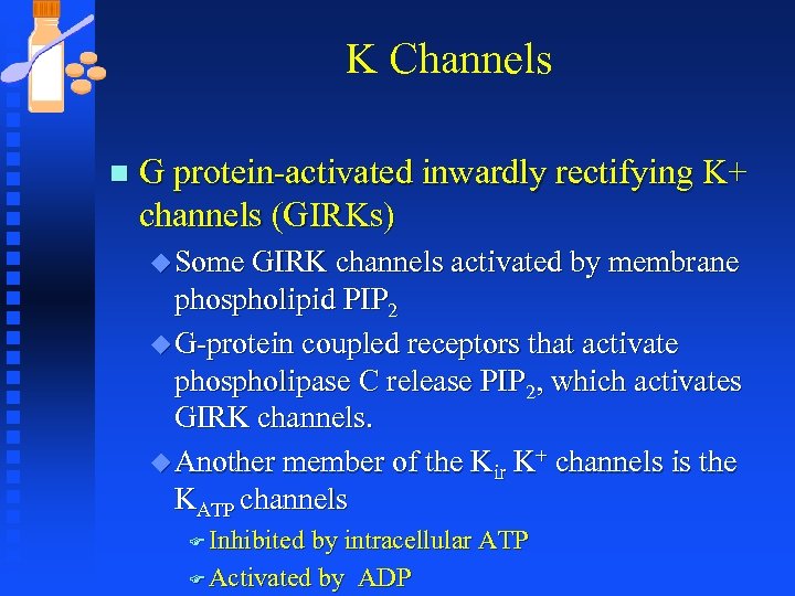 K Channels n G protein-activated inwardly rectifying K+ channels (GIRKs) u Some GIRK channels