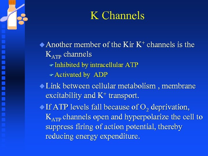 K Channels u Another member of the Kir K+ channels is the KATP channels