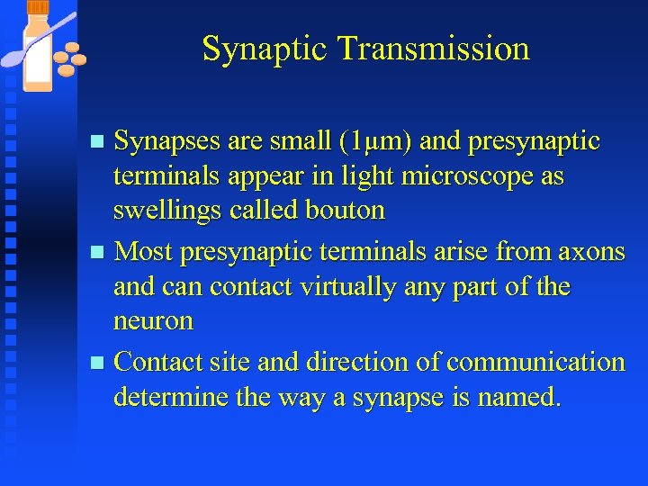 Synaptic Transmission Synapses are small (1µm) and presynaptic terminals appear in light microscope as