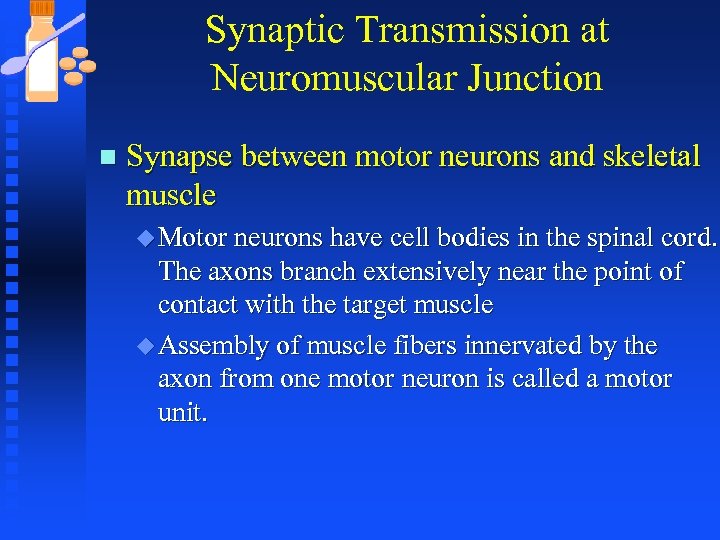Synaptic Transmission at Neuromuscular Junction n Synapse between motor neurons and skeletal muscle u