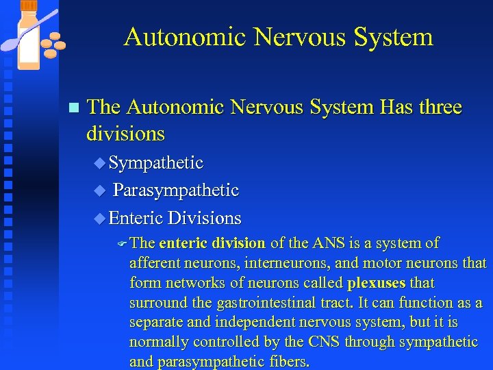 Autonomic Nervous System n The Autonomic Nervous System Has three divisions u Sympathetic Parasympathetic