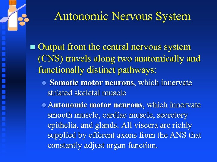 Autonomic Nervous System n Output from the central nervous system (CNS) travels along two