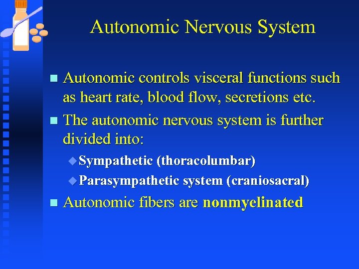 Autonomic Nervous System Autonomic controls visceral functions such as heart rate, blood flow, secretions