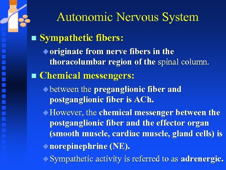 Autonomic Nervous System n Sympathetic fibers: u originate from nerve fibers in the thoracolumbar