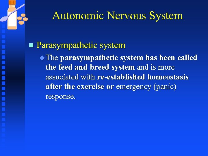 Autonomic Nervous System n Parasympathetic system u The parasympathetic system has been called the