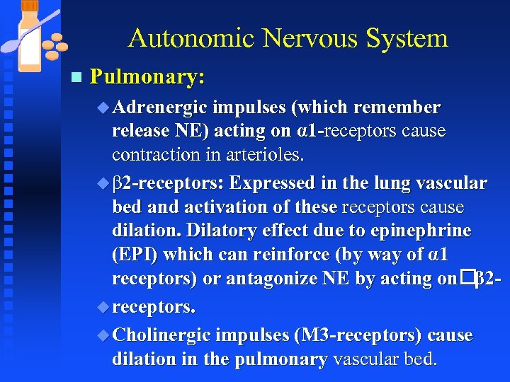 Autonomic Nervous System n Pulmonary: u Adrenergic impulses (which remember release NE) acting on
