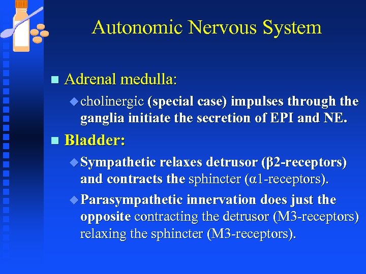 Autonomic Nervous System n Adrenal medulla: u cholinergic (special case) impulses through the ganglia