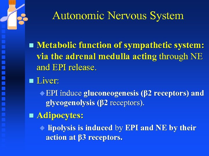 Autonomic Nervous System Metabolic function of sympathetic system: via the adrenal medulla acting through