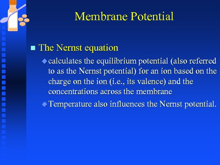 Membrane Potential n The Nernst equation u calculates the equilibrium potential (also referred to