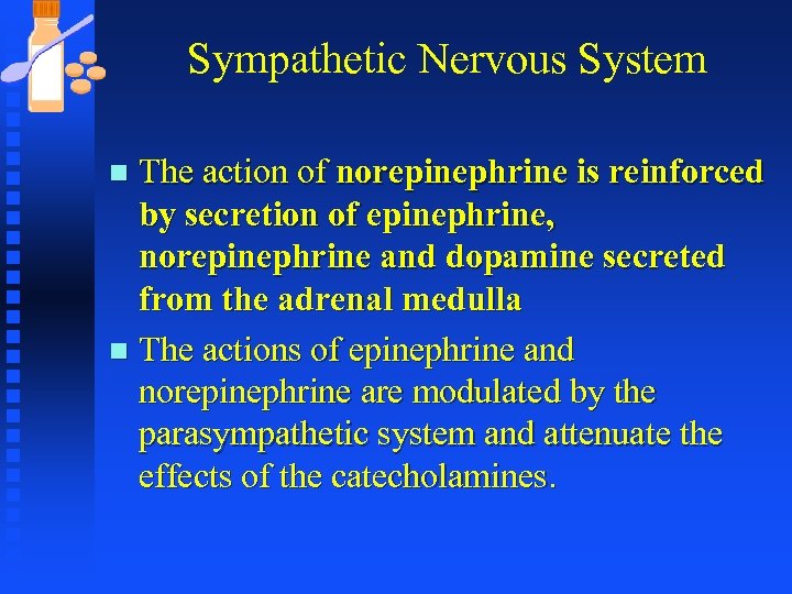 Sympathetic Nervous System The action of norepinephrine is reinforced by secretion of epinephrine, norepinephrine