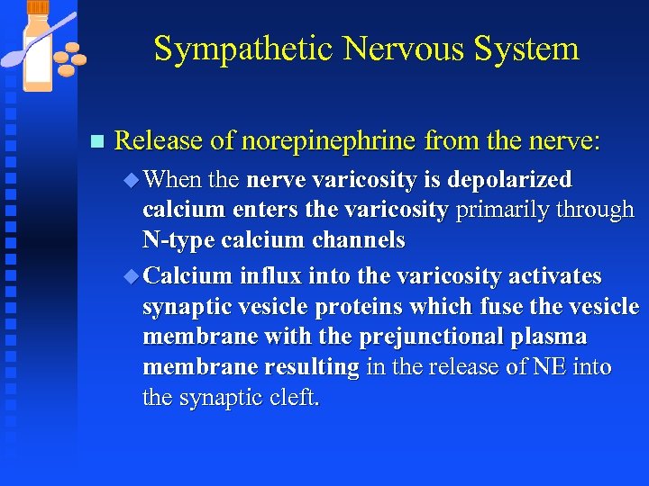 Sympathetic Nervous System n Release of norepinephrine from the nerve: u When the nerve