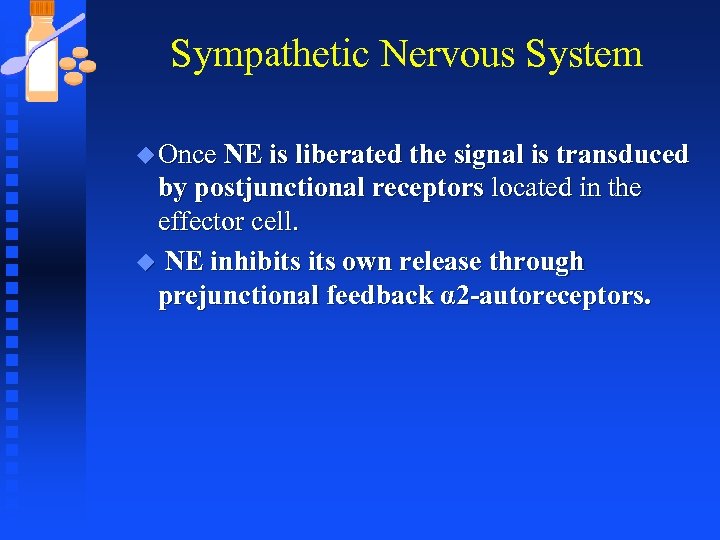 Sympathetic Nervous System u Once NE is liberated the signal is transduced by postjunctional