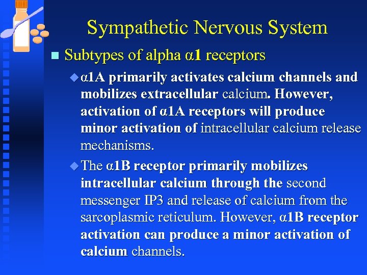 Sympathetic Nervous System n Subtypes of alpha α 1 receptors u α 1 A