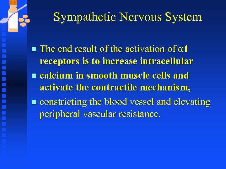 Sympathetic Nervous System The end result of the activation of α 1 receptors is