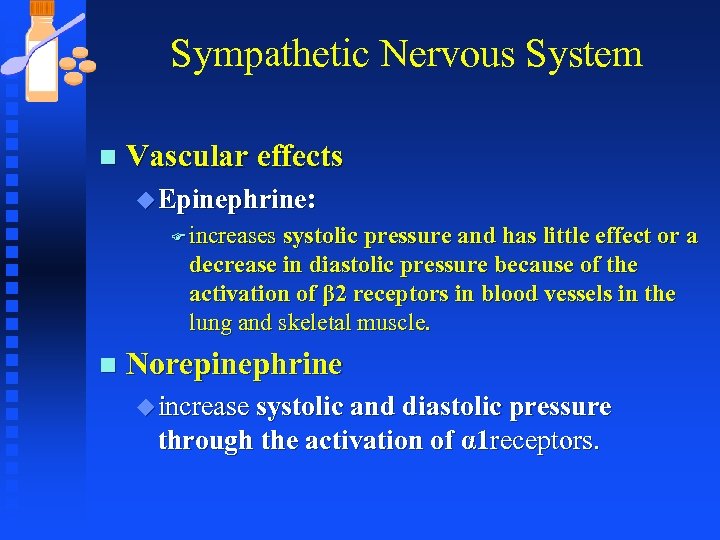 Sympathetic Nervous System n Vascular effects u Epinephrine: F increases systolic pressure and has