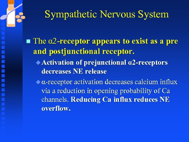 Sympathetic Nervous System n The α 2 -receptor appears to exist as a pre
