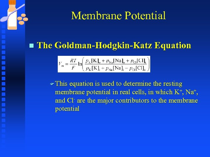 Membrane Potential n The Goldman-Hodgkin-Katz Equation F This equation is used to determine the